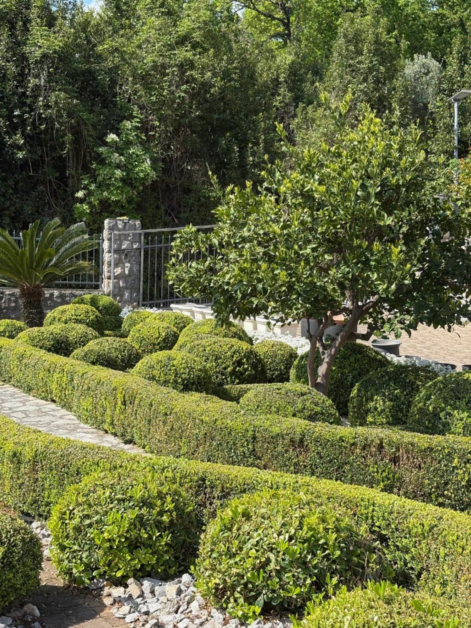 Bed And Breakfast Villa Iris Mošćenička Draga Zewnętrze zdjęcie