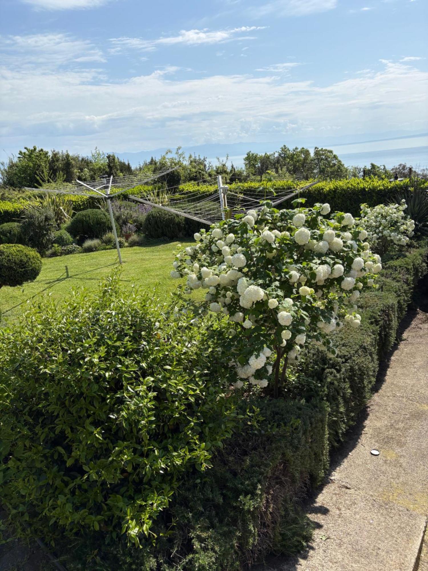 Bed And Breakfast Villa Iris Mošćenička Draga Zewnętrze zdjęcie