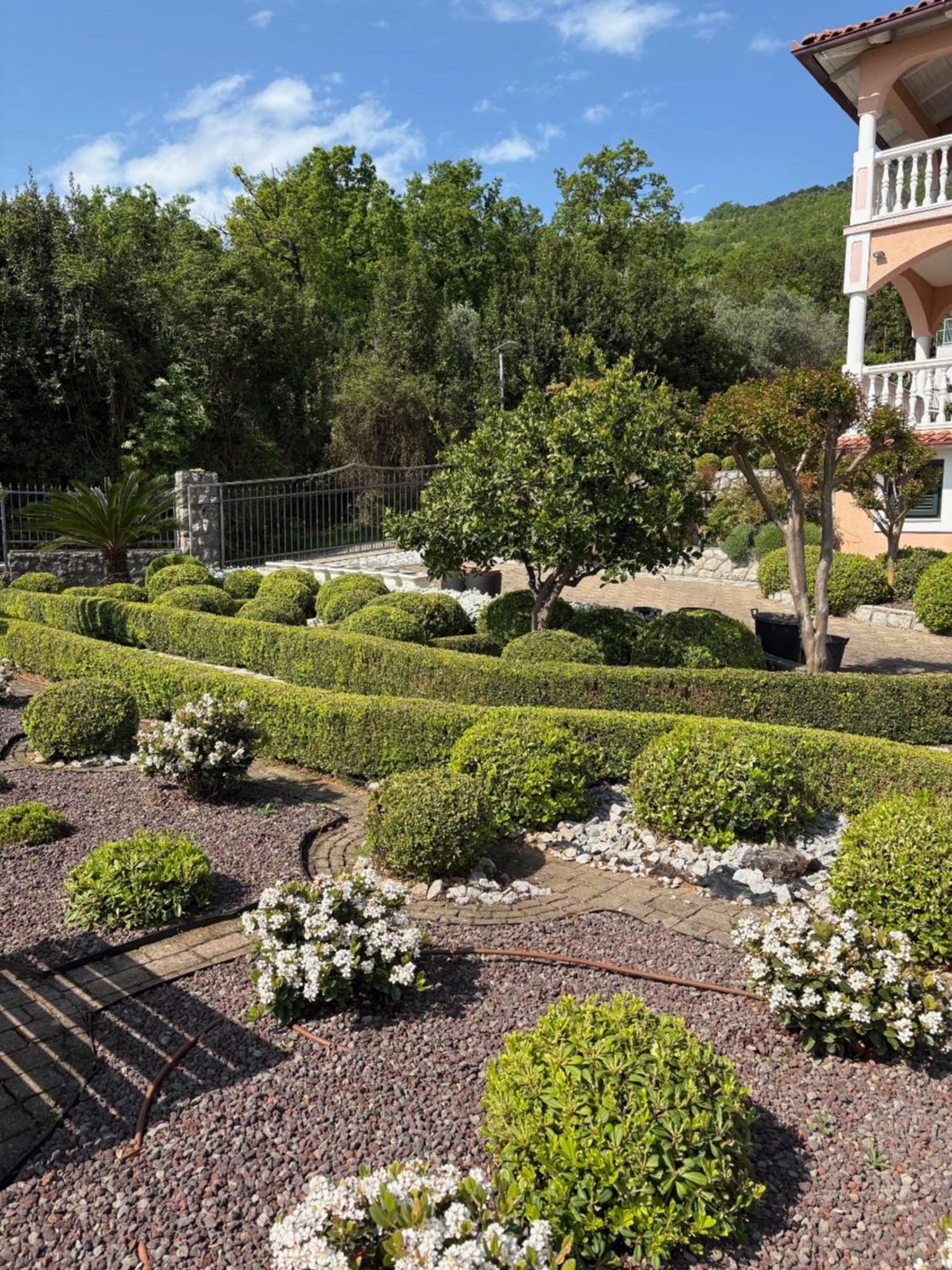 Bed And Breakfast Villa Iris Mošćenička Draga Zewnętrze zdjęcie
