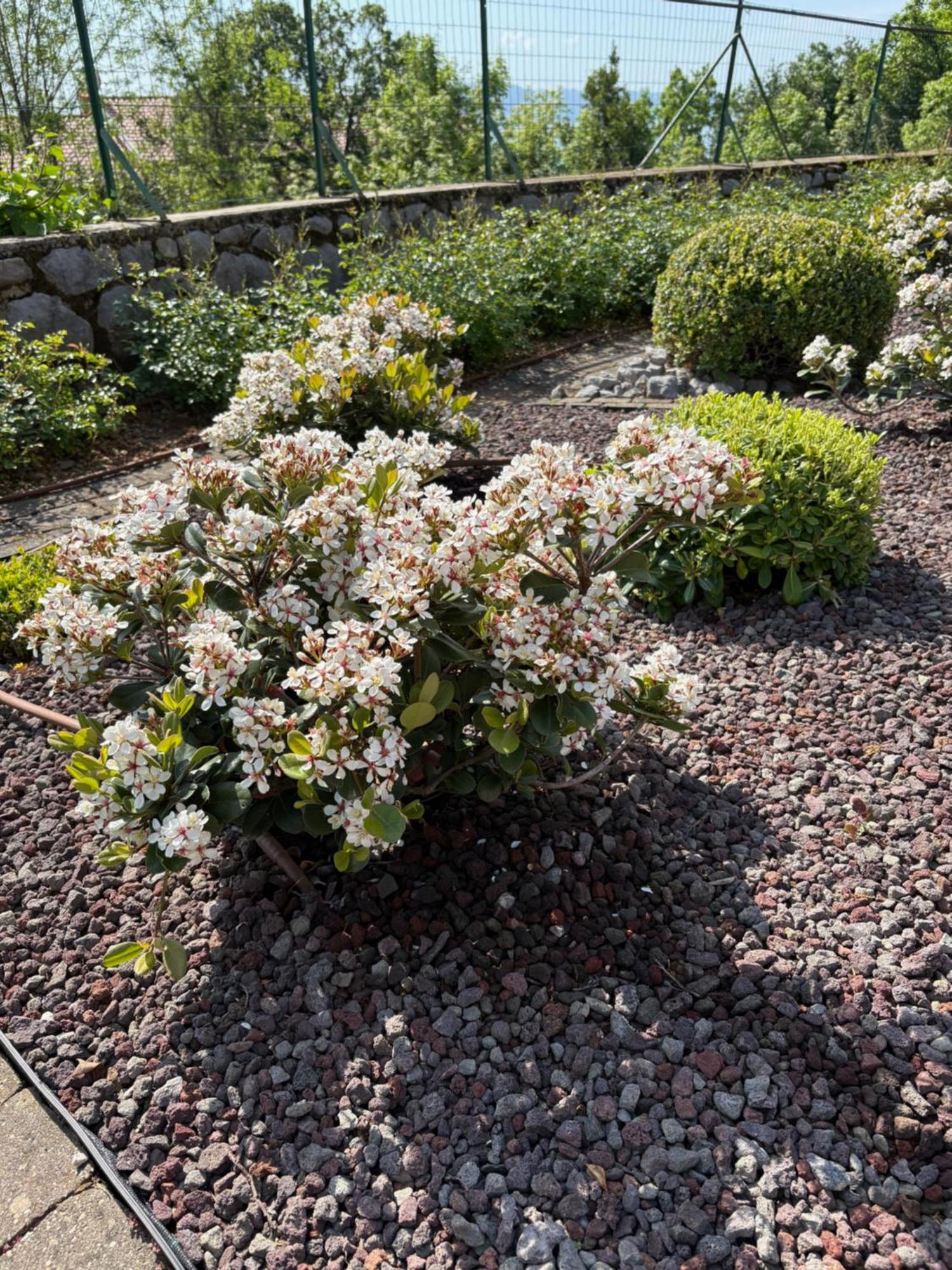 Bed And Breakfast Villa Iris Mošćenička Draga Zewnętrze zdjęcie